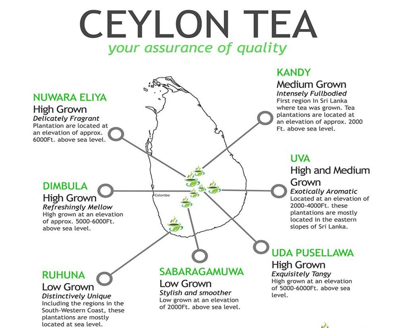 Ceylon Tea Culture Ceylon Pleasure Best Teas in Sri Lanka